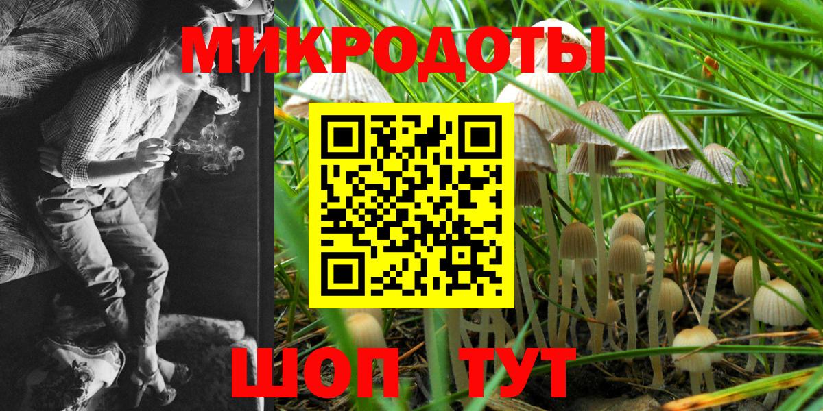 Электросталь  Псилоцибиновые грибы прущие грибы  Вход с VPN  Галлюциногенные грибы Psilocybine cubensis 