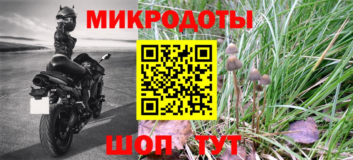 Галлюциногенные грибы Psilocybine cubensis Электросталь